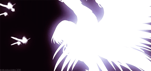 D'Ar8c9l animated visual